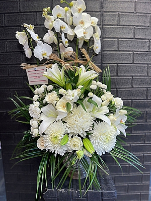 4 Dal Beyaz Orkide Arajman